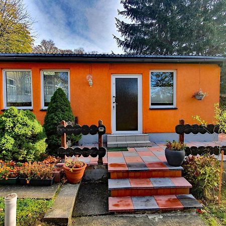 Ferienhaus Petra Elbingerode  Exterior photo